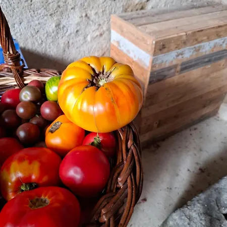 Bed & Breakfast D'hotes De La Pilatiere Persac